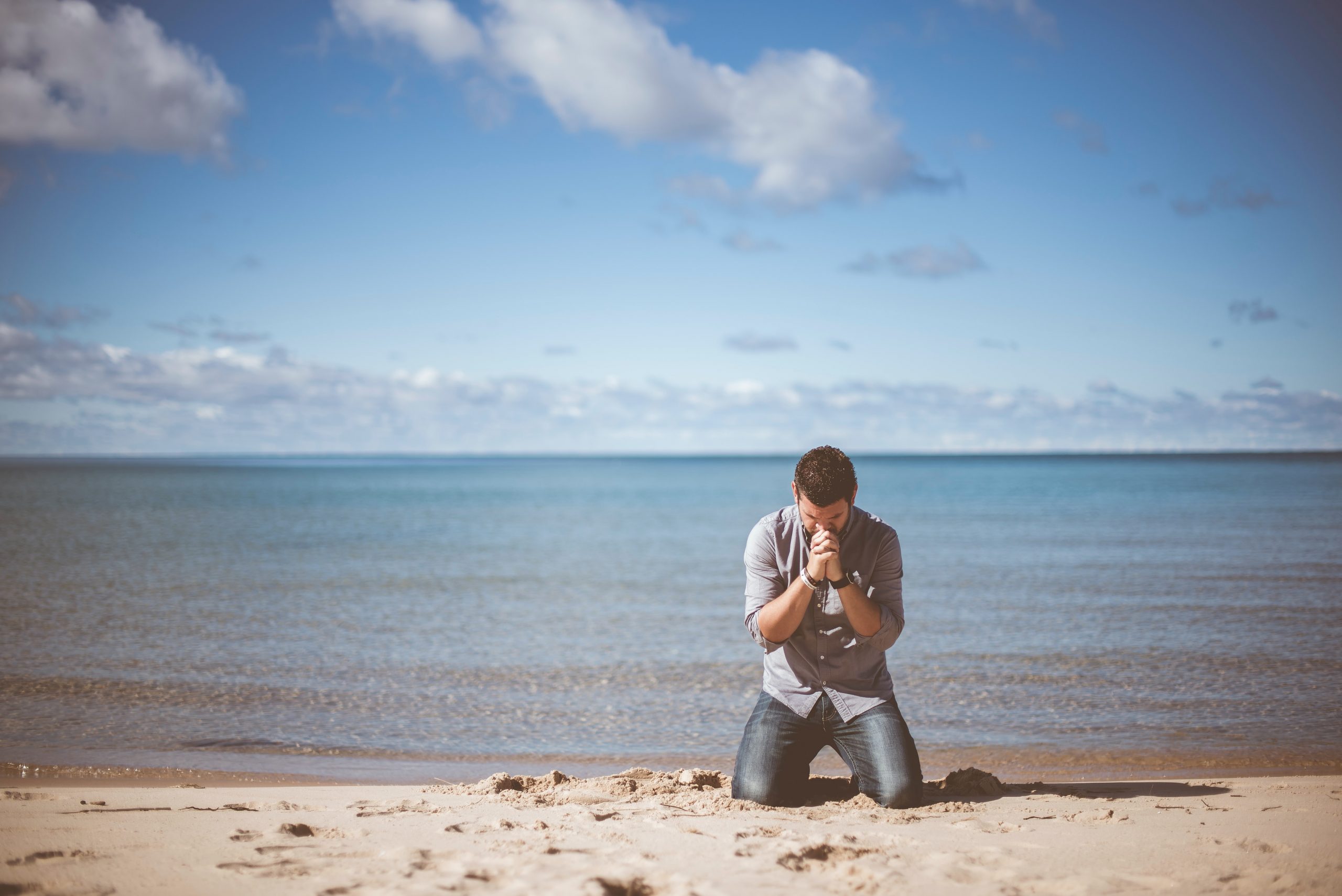 Humility And Suffering In 1 Peter 5 5 11 Olive Tree Blog