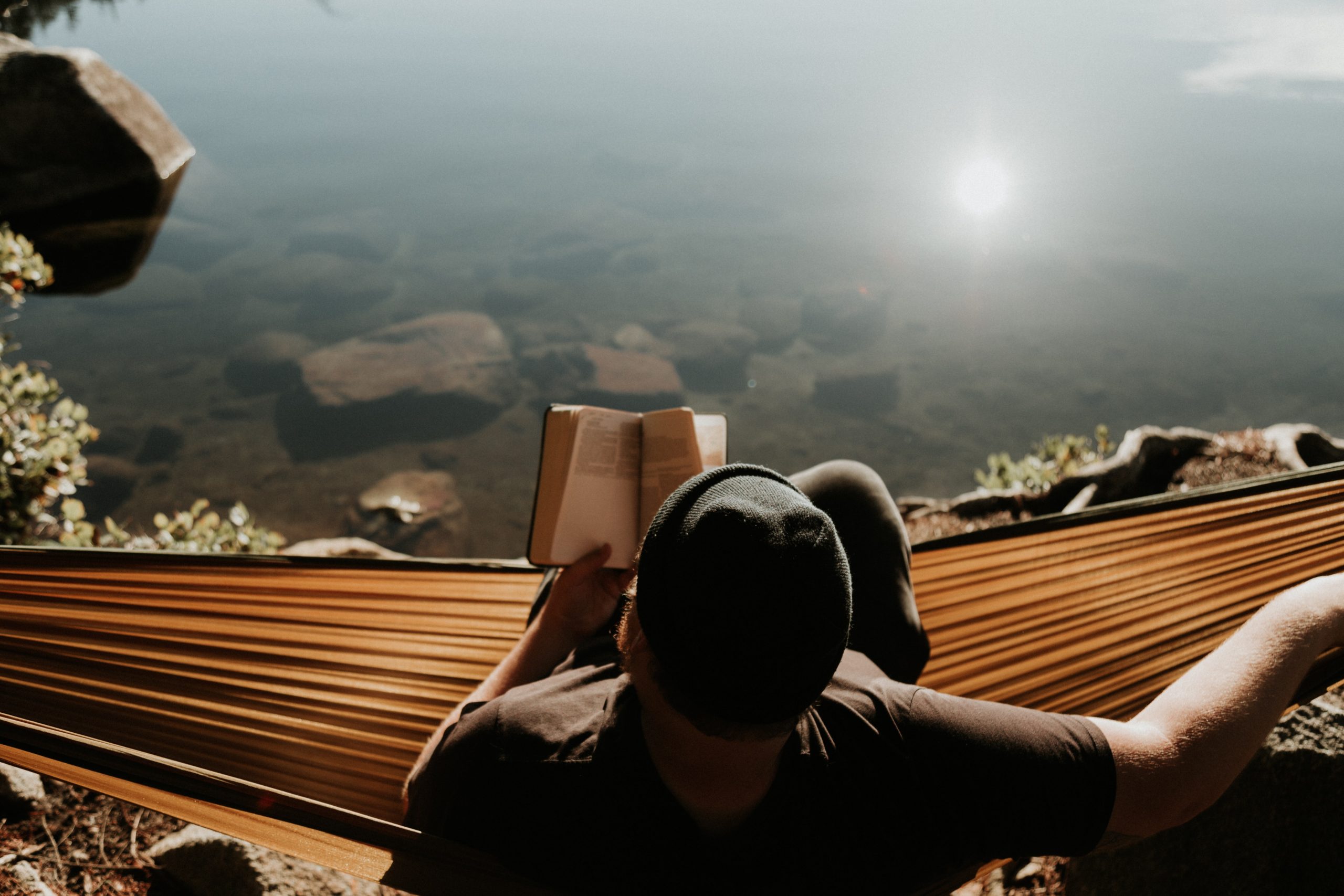 Engaging With Genesis 1 1 2 7 Olive Tree Blog