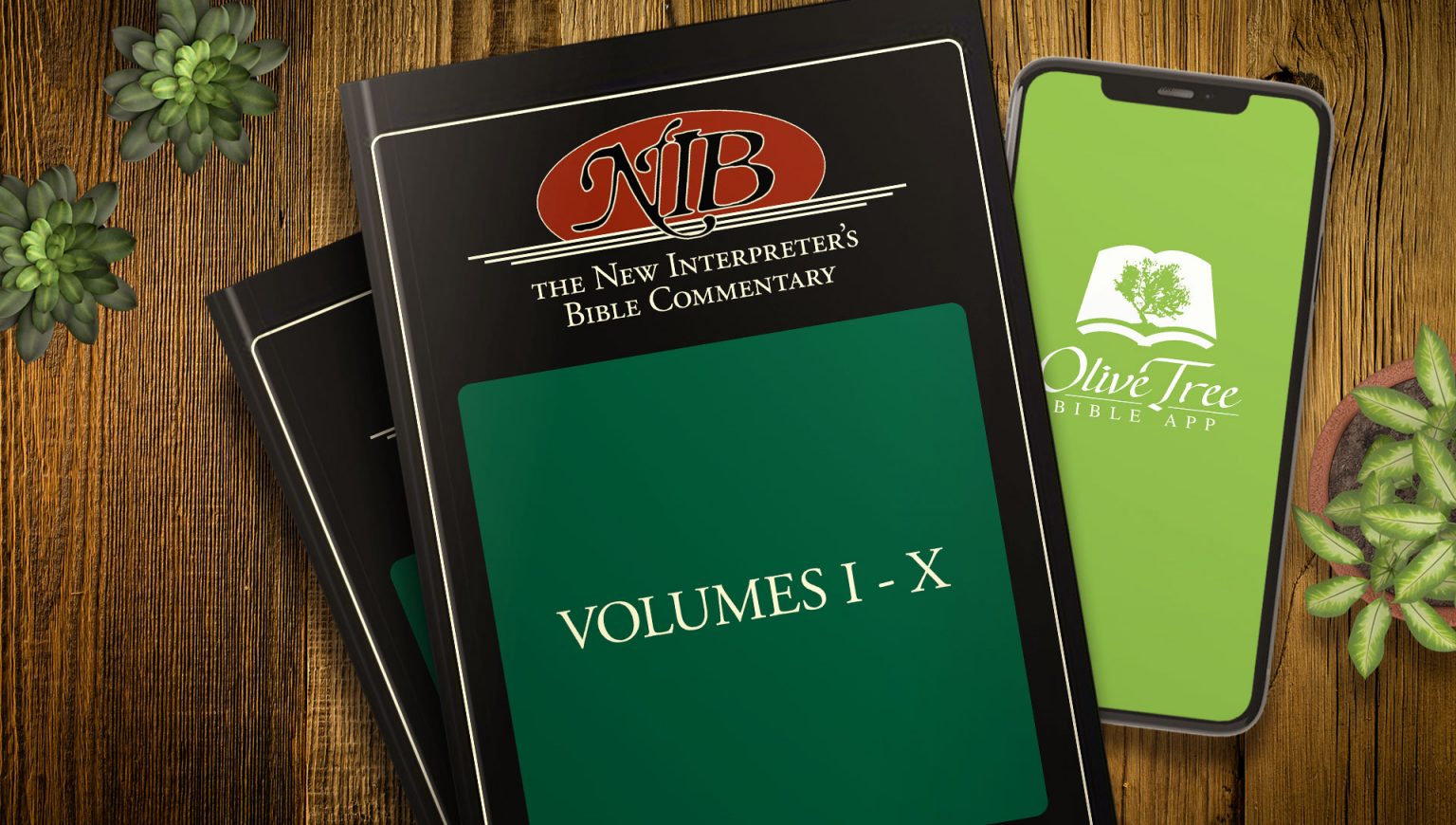 Look inside new interpreter s bible commentary olive tree blog