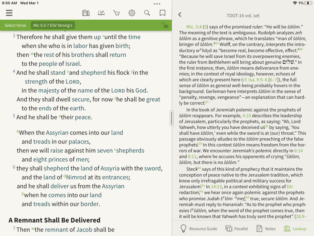 WHAT DOES THE WORD SHALOM MEAN? True peace in the bible! (English