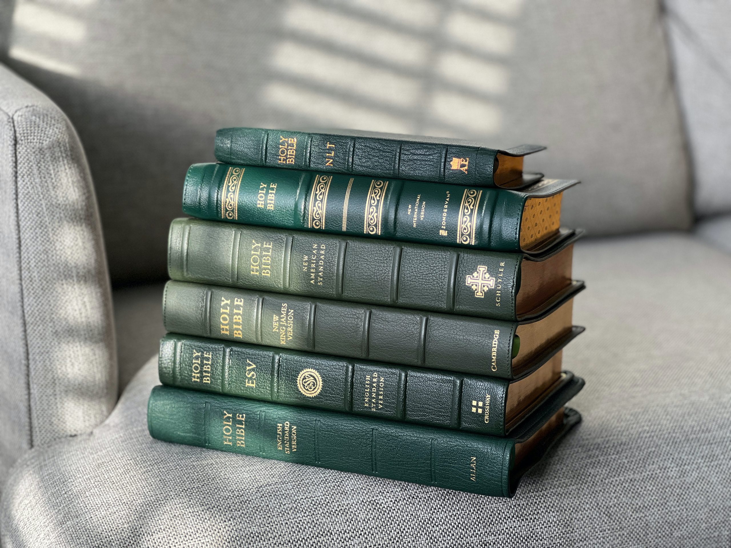 Tim wildsmith cwq8KR9gzfA unsplash Olive Tree Blog tim-wildsmith-cwq8kr9gzfa-unsplash-olive-tree-blog