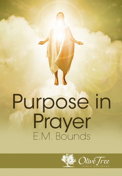 Purpose in Prayer