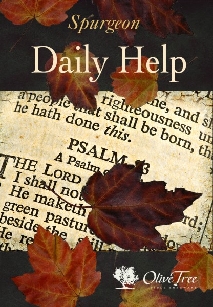 Daily Help