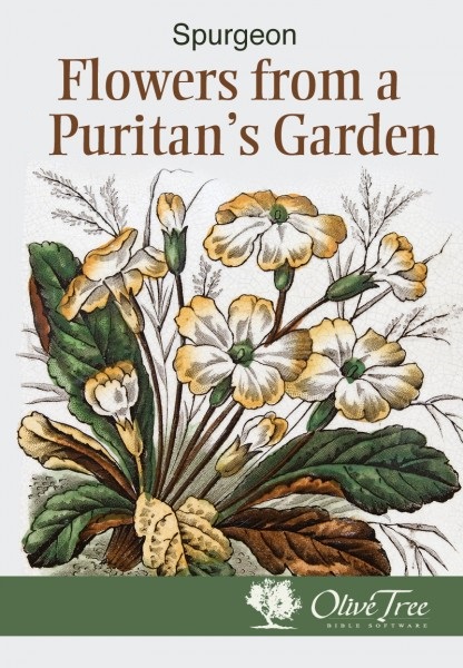 Flowers from a Puritan's Garden