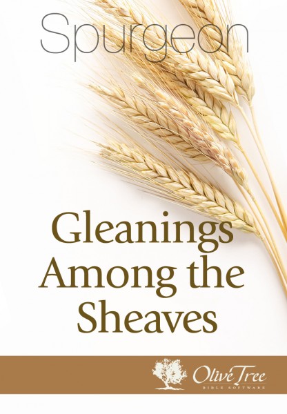 Gleanings Among the Sheaves