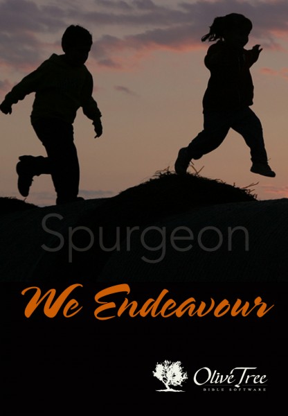 We Endeavour