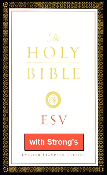 English Standard Version with Strong's Numbers - ESV Strong's