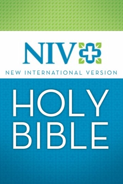 New International Version (NIV)