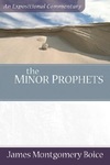 Boice Expositional Commentary Series: Minor Prophets (2 volume set)