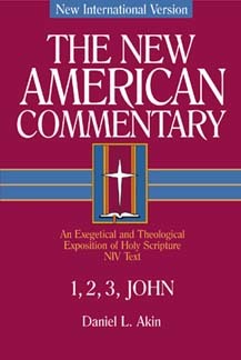 New American Commentary — 1, 2 & 3 John (NAC)