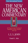 New American Commentary — 1, 2 & 3 John (NAC)