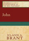 Paideia: Commentaries on the New Testament — John (PAI)