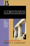 1 Corinthians: Baker Exegetical Commentary on the New Testament (BECNT)