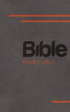 Bible21 Czech Translation