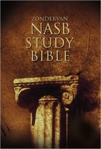 nasb audio bible with text displayed