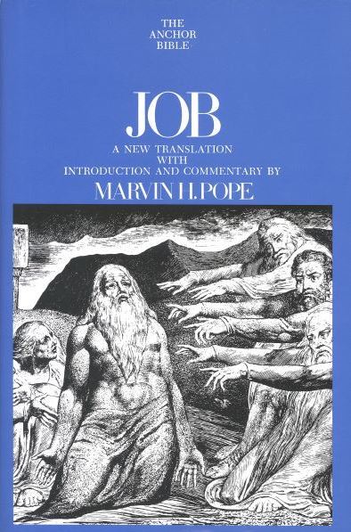 Anchor Yale Bible Commentary: Job (AYB)