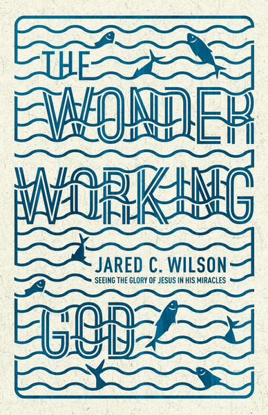 Wonder-Working God: Seeing the Glory of Jesus in His Miracles