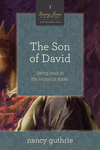 Son of David (A 10-week Bible Study): Seeing Jesus in the Historical Books