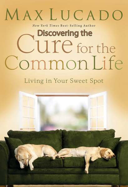 Discovering the Cure for the Common Life (Excerpt): Living in Your Sweet Spot