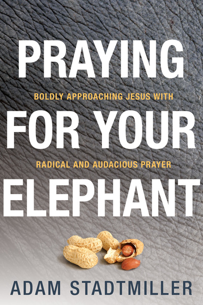 Praying for Your Elephant: Boldly Approaching Jesus with Radical and Audacious Prayer