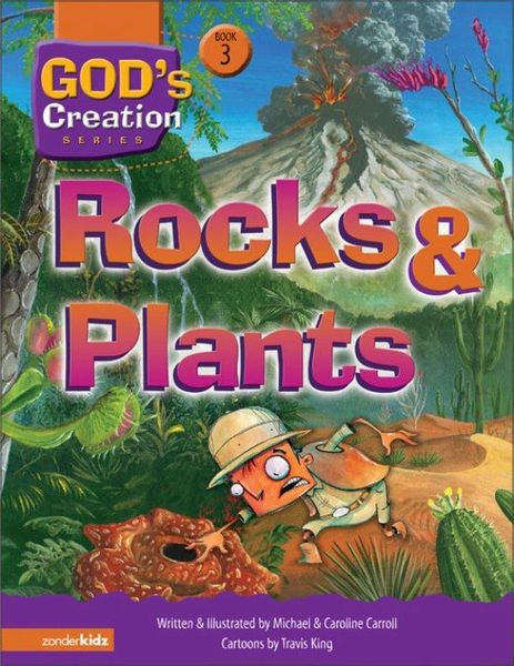 Rocks and Plants