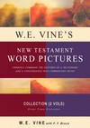 Vine’s New Testament Word Pictures (2 Vols.)