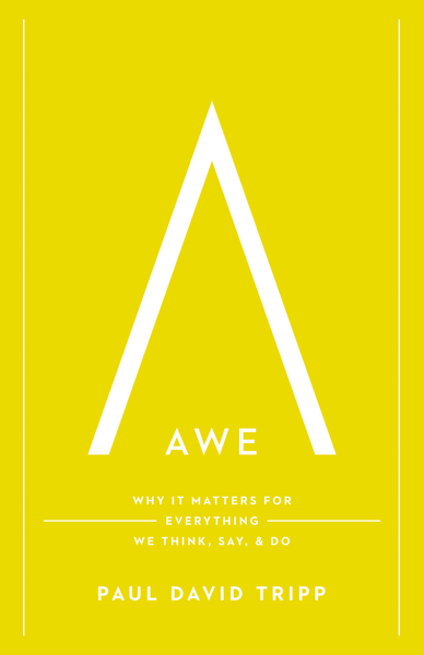 Awe: Why It Matters for Everything We Think, Say, and Do