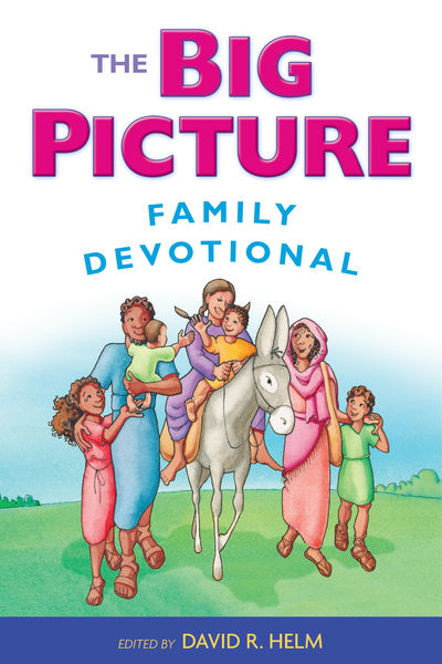 Big Picture Family Devotional