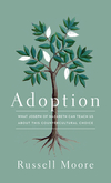 Adoption: What Joseph of Nazareth Can Teach Us about This Countercultural Choice