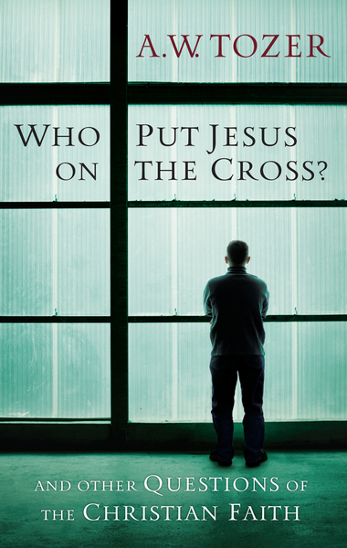 Who Put Jesus on the Cross?: And Other Questions of the Christian Faith