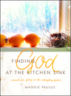 Finding God at the Kitchen Sink: Search for Glory in the Everyday Grime