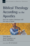 New Studies in Biblical Theology - Biblical Theology According to the Apostles: How the Earliest Christians Told the Story of Israel (NSBT)