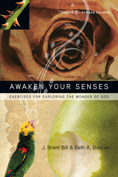 Awaken Your Senses: Exercises for Exploring the Wonder of God