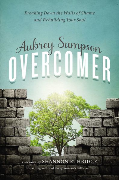 Overcomer: Breaking Down the Walls of Shame and Rebuilding Your Soul