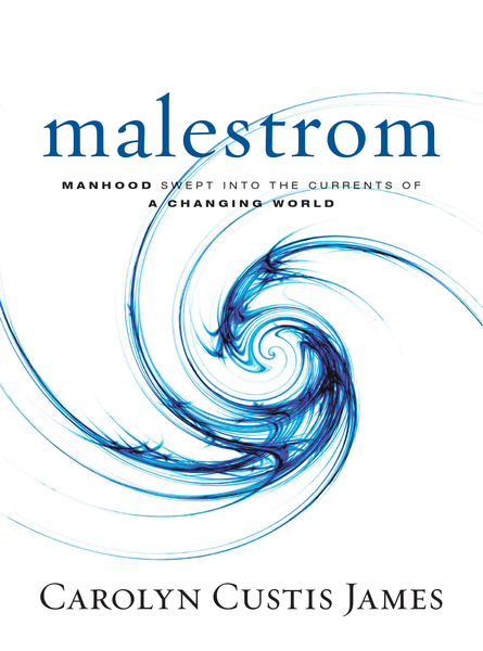 Malestrom: Manhood Swept into the Currents of a Changing World