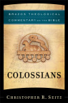 Brazos Theological Commentary: Colossians (BTC)