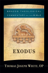 Brazos Theological Commentary: Exodus (BTC)