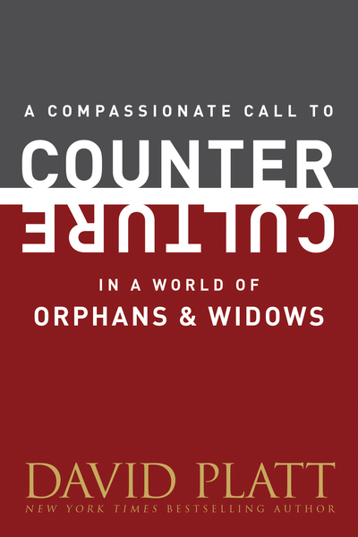 Compassionate Call to Counter Culture in a World of Orphans and Widows