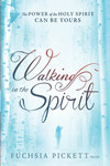 Walking In The Spirit: The Power of the Holy Spirit Can Be Yours