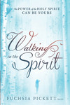 Walking In The Spirit: The Power of the Holy Spirit Can Be Yours