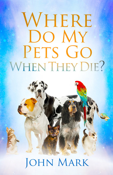 Where Do My Pets Go When They Die?