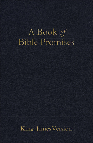 KJV Book of Bible Promises Midnight Blue