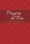 Prayers on Fire: 365 Days Praying the Psalms