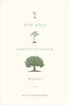 How Does Sanctification Work?