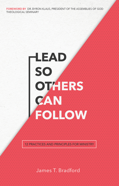 Lead So Others Can Follow: 12 Practices and Principles for Ministry