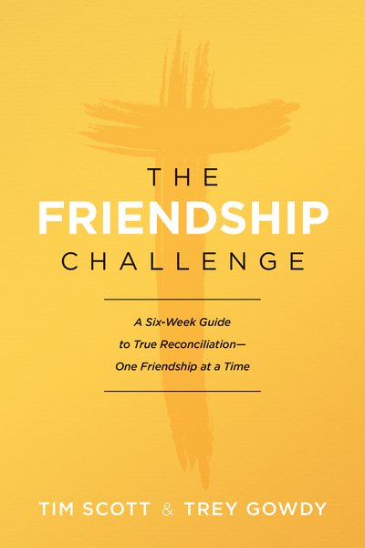 Friendship Challenge: A Six-Week Guide to True Reconciliation--One Friendship at a Time