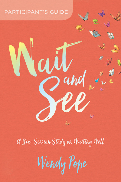 Wait and See Participant's Guide: A Six-Session Study on Waiting Well