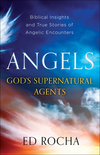 Angels-God's Supernatural Agents: Biblical Insights and True Stories of Angelic Encounters