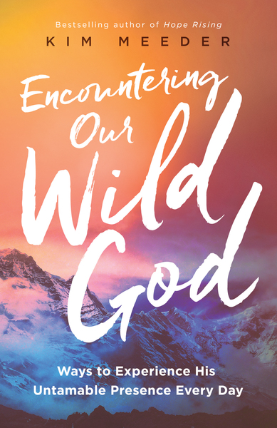 Encountering Our Wild God: Ways to Experience His Untamable Presence Every Day