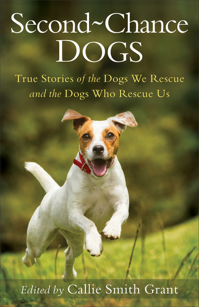 Second-Chance Dogs: True Stories of the Dogs We Rescue and the Dogs Who Rescue Us
